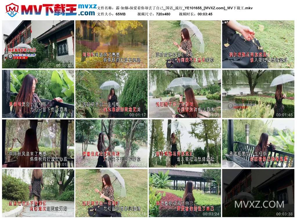 露·如烟-深爱着你却丢了自己_国语_流行_YE101655